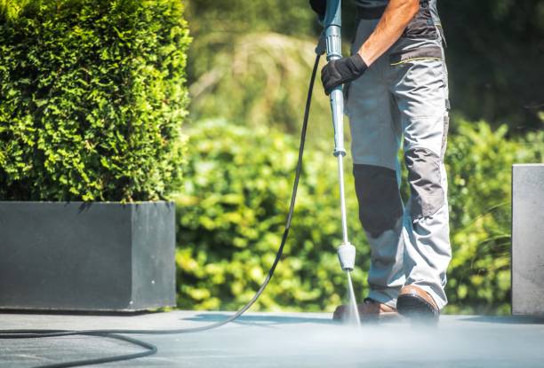 Best Driveway Pressure Washing  in Hutchinson, MN